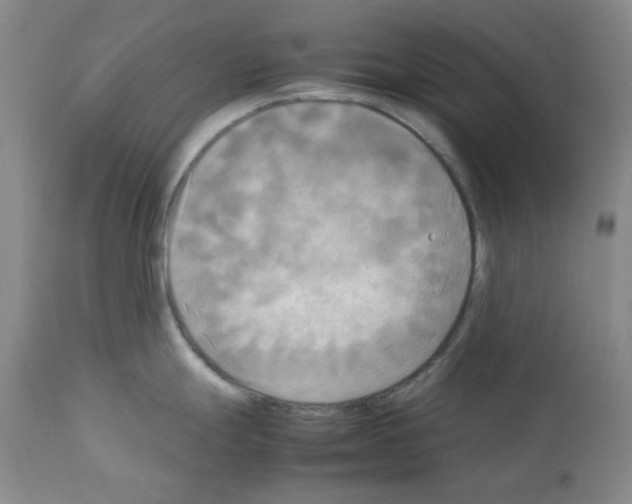 X0000112731247200910011149