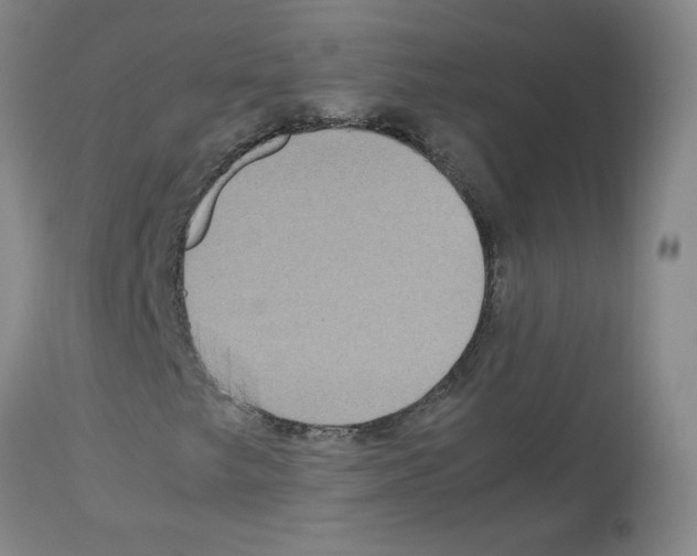 X0000112731249200910011148