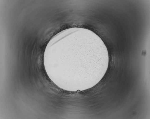 X0000112731250200910011148