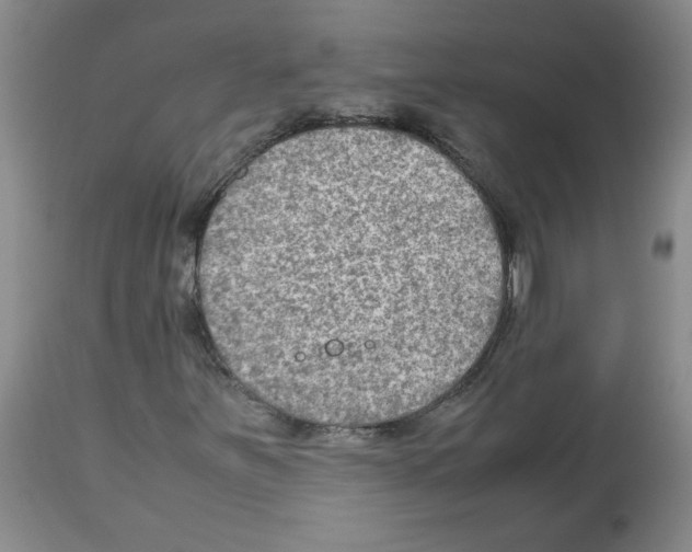 X0000112731251200910011148