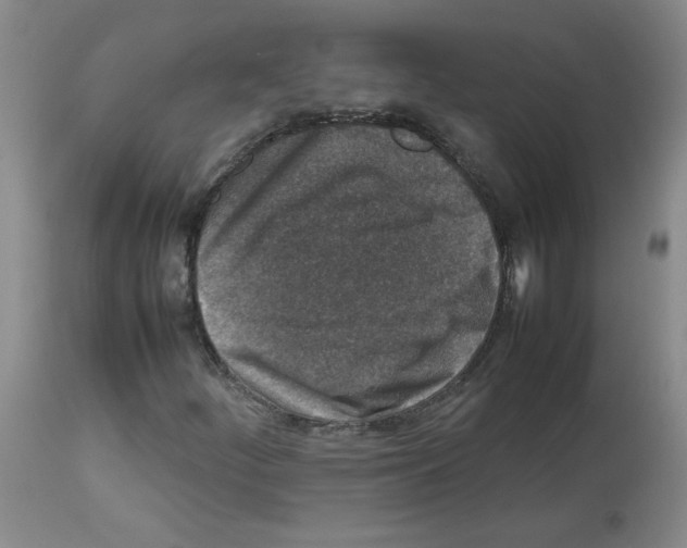X0000112731252200910011148