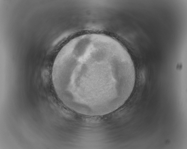 X0000112731254200910011148