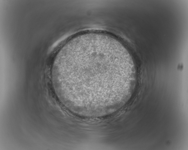 X0000112731255200910011148