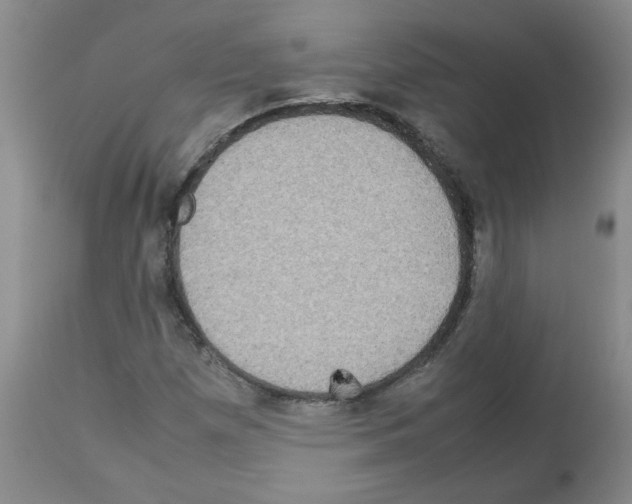 X0000112731257200910011148