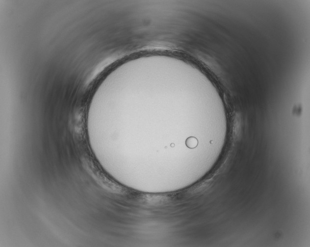 X0000112731258200910011148