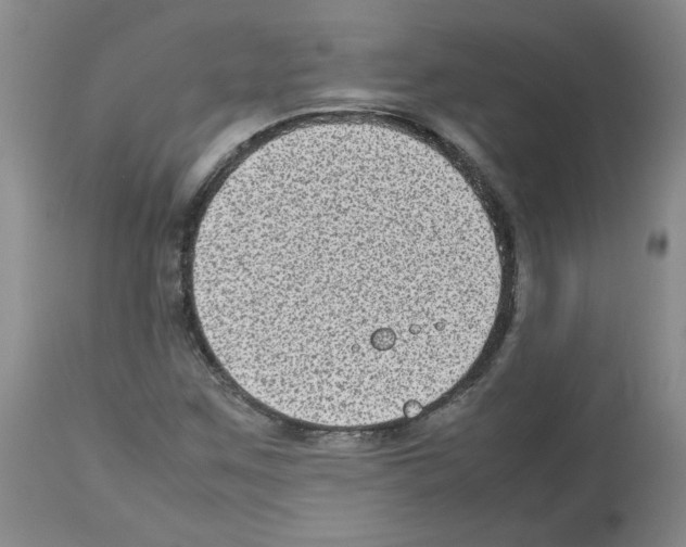 X0000112731259200910011148