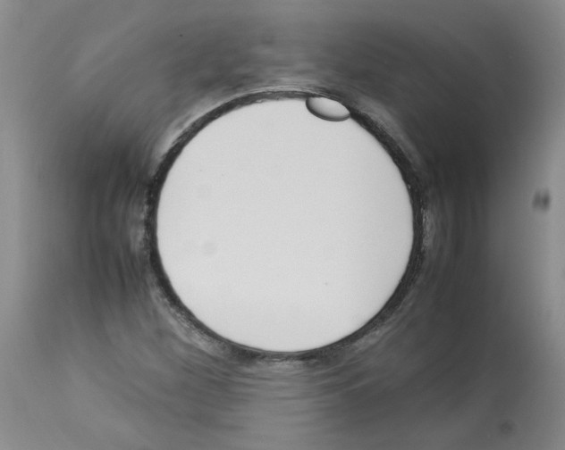 X0000112731260200910011148