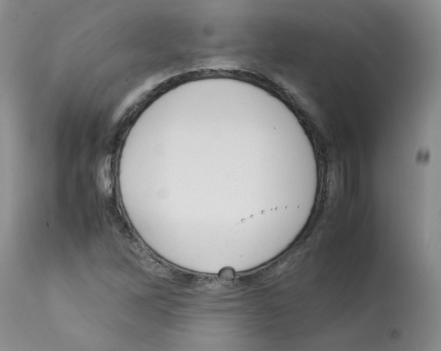 X0000112731262200910011148