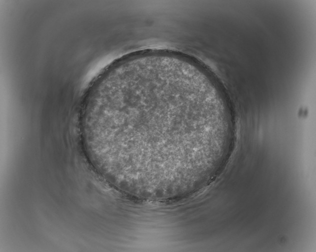 X0000112731263200910011148