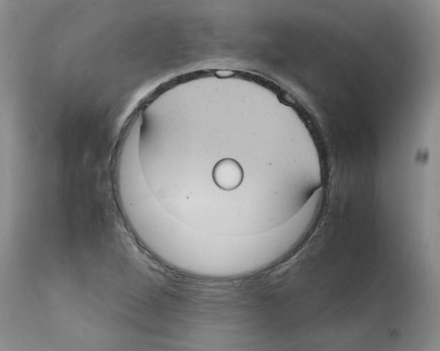 X0000112731264200910011148