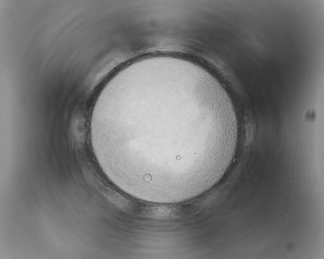 X0000112731266200910011148