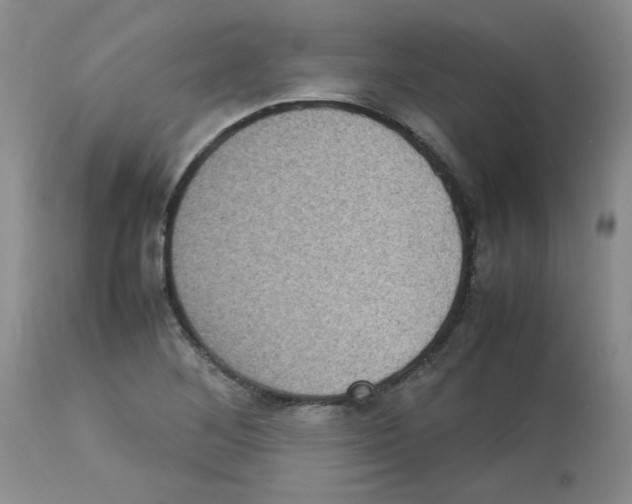 X0000112731268200910011148