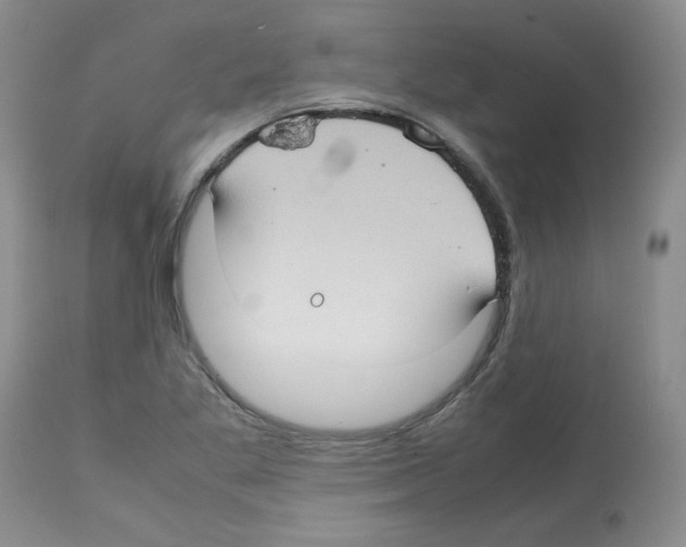 X0000112731269200910011148