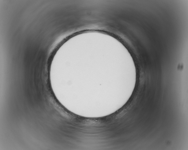X0000112731270200910011148