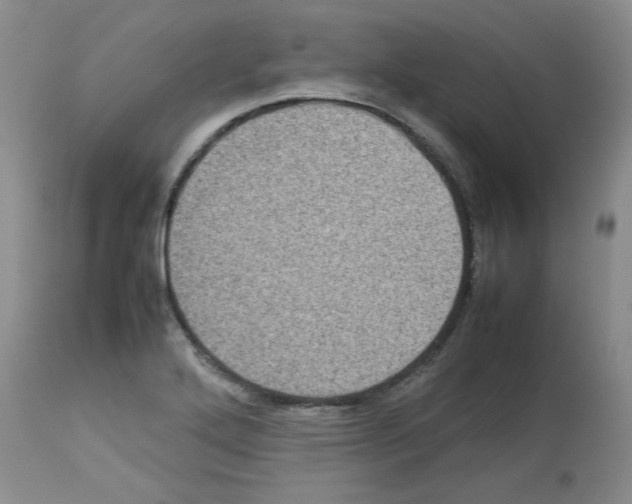 X0000112731272200910011148