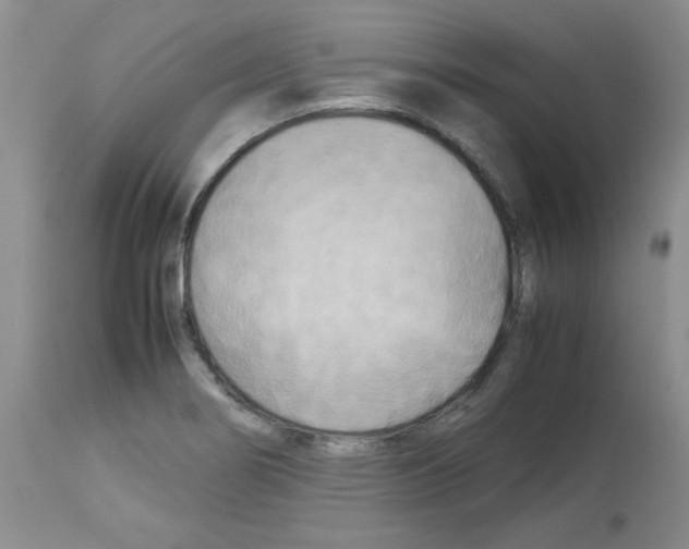 X0000112731274200910011148