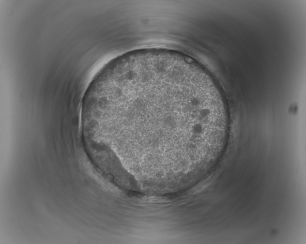 X0000112731275200910011148