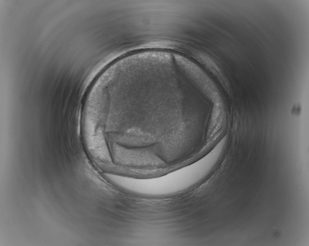 X0000112731276200910011148