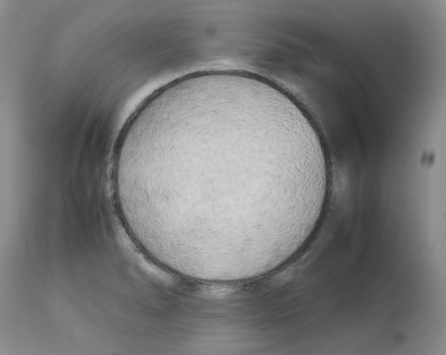 X0000112731278200910011148