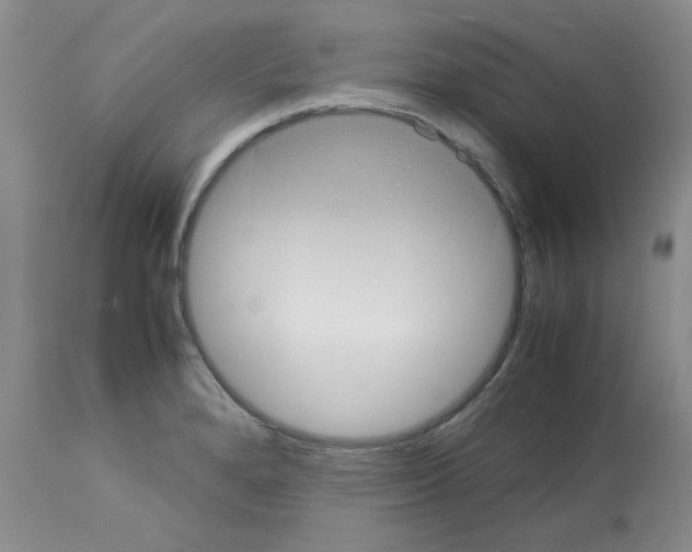 X0000112731280200910011148