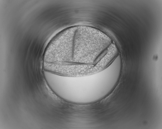 X0000112731284200910011148