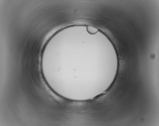 X0000112731286200910011147