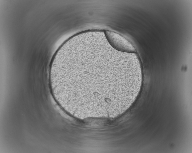 X0000112731287200910011147