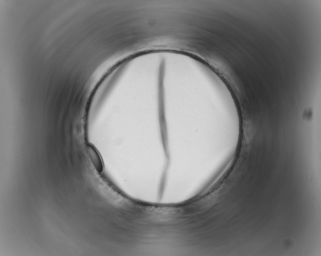 X0000112731288200910011147