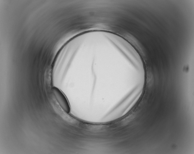 X0000112731292200910011147