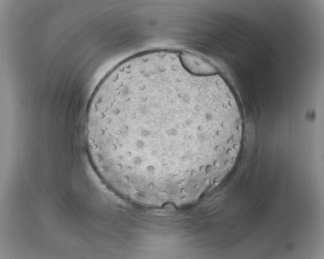 X0000112731295200910011147