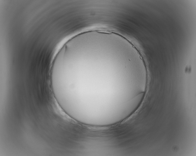 X0000112731296200910011147