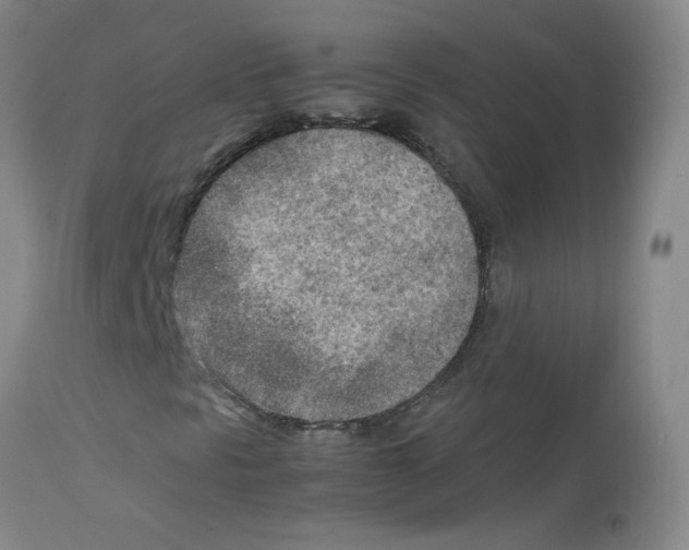 X0000112731297200910011147