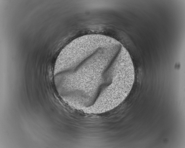 X0000112731298200910011147