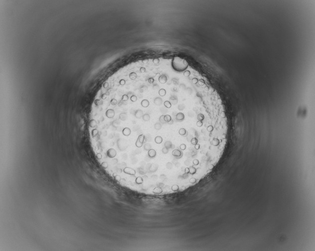 X0000112731302200910011147