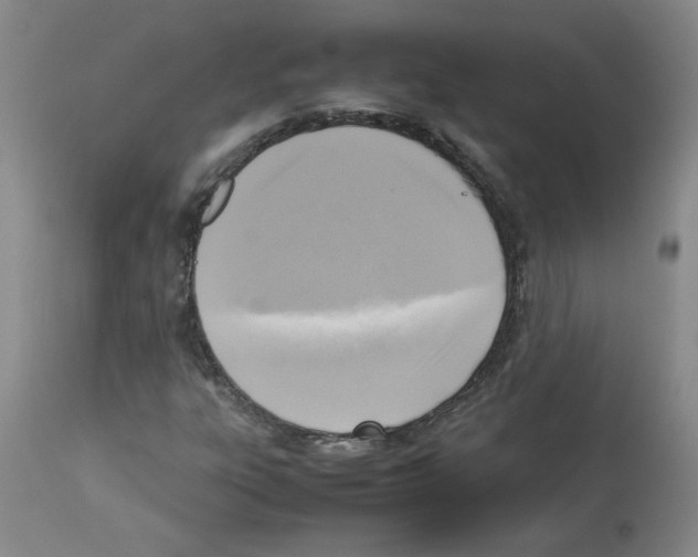 X0000112731303200910011147