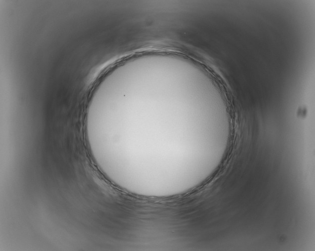 X0000112731304200910011147