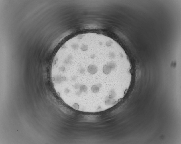 X0000112731305200910011147