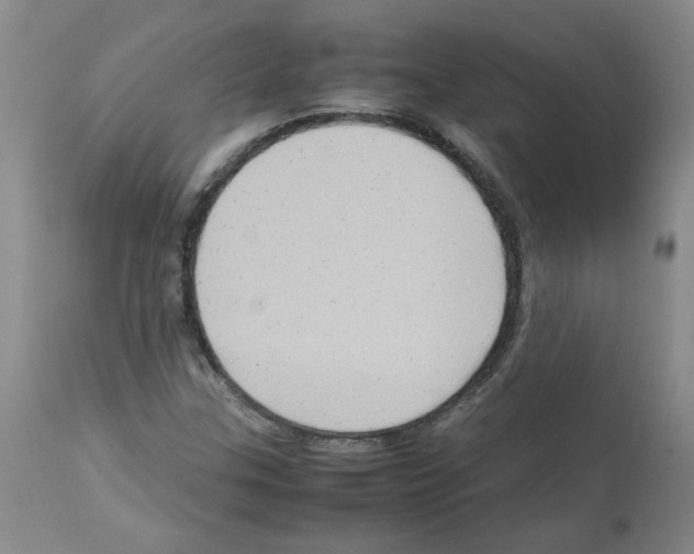 X0000112731307200910011147