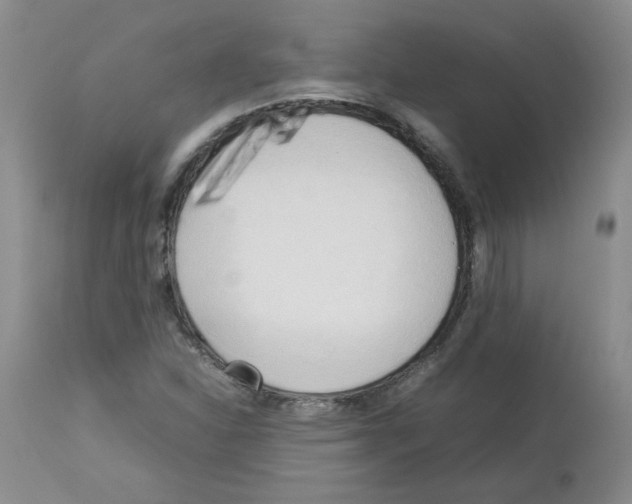 X0000112731310200910011147