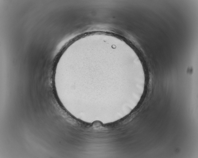 X0000112731312200910011147