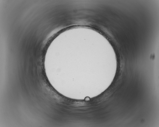 X0000112731315200910011147