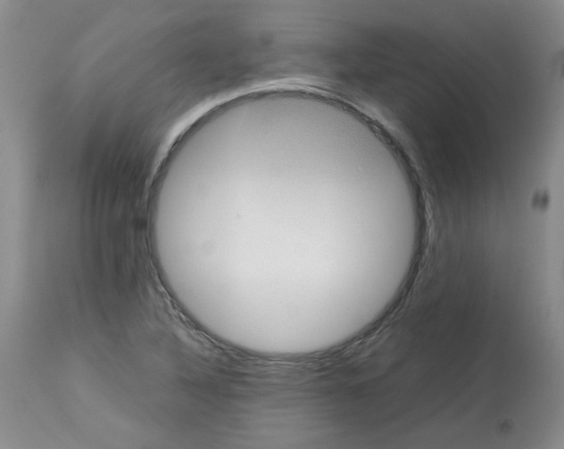X0000112731316200910011147