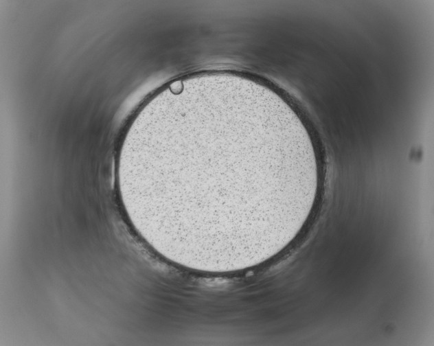 X0000112731317200910011147
