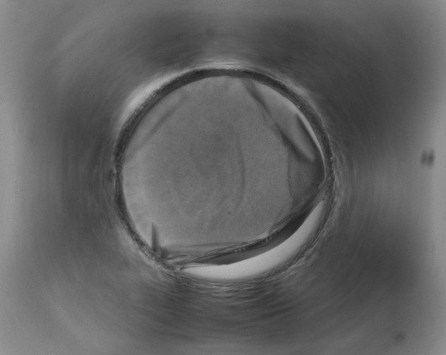 X0000112731319200910011147