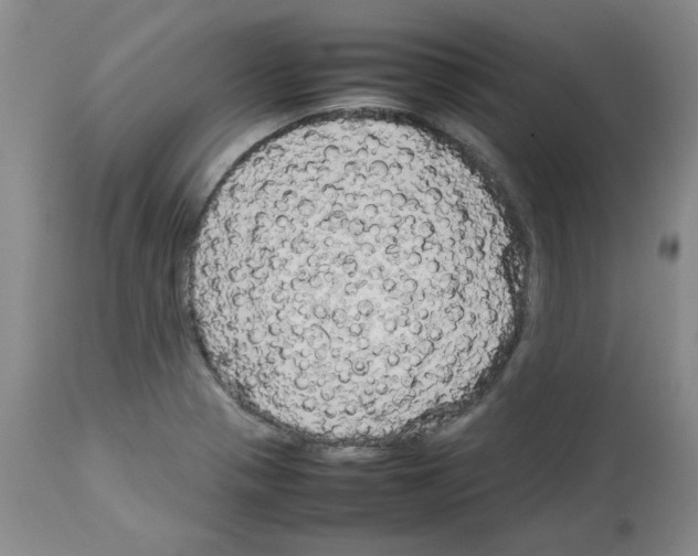 X0000112731321200910011147