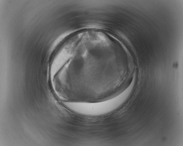 X0000112731323200910011147