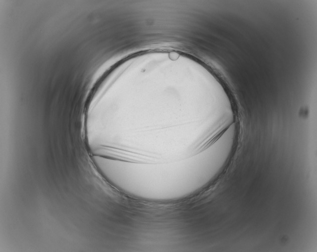 X0000112731324200910011147