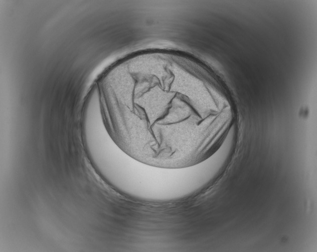 X0000112731326200910011147