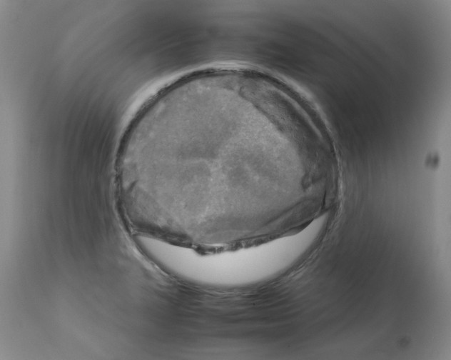 X0000112731327200910011147