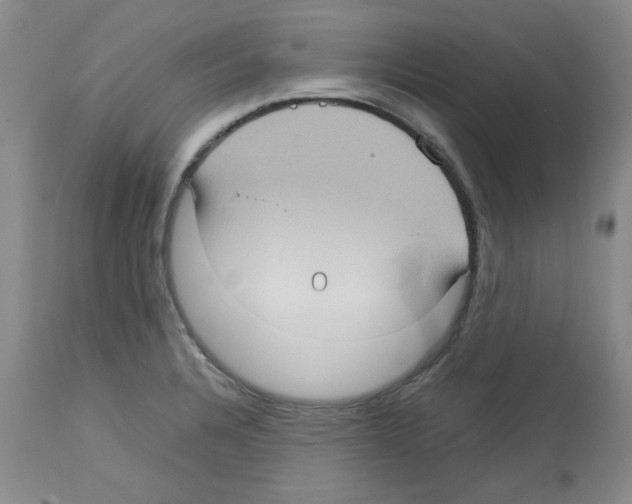 X0000112731328200910011147